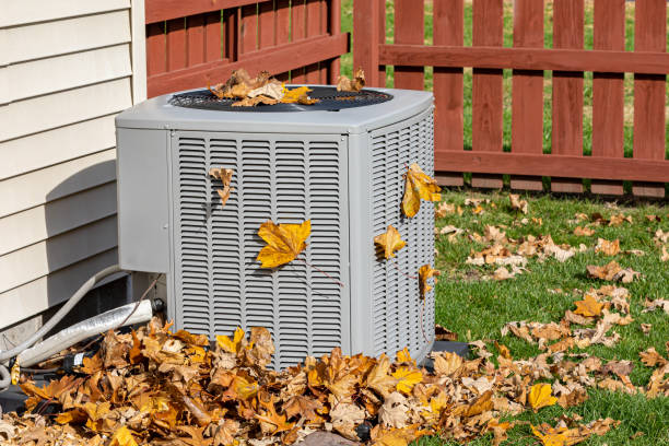 Best Affordable HVAC Services  in Mount Vernon, VA